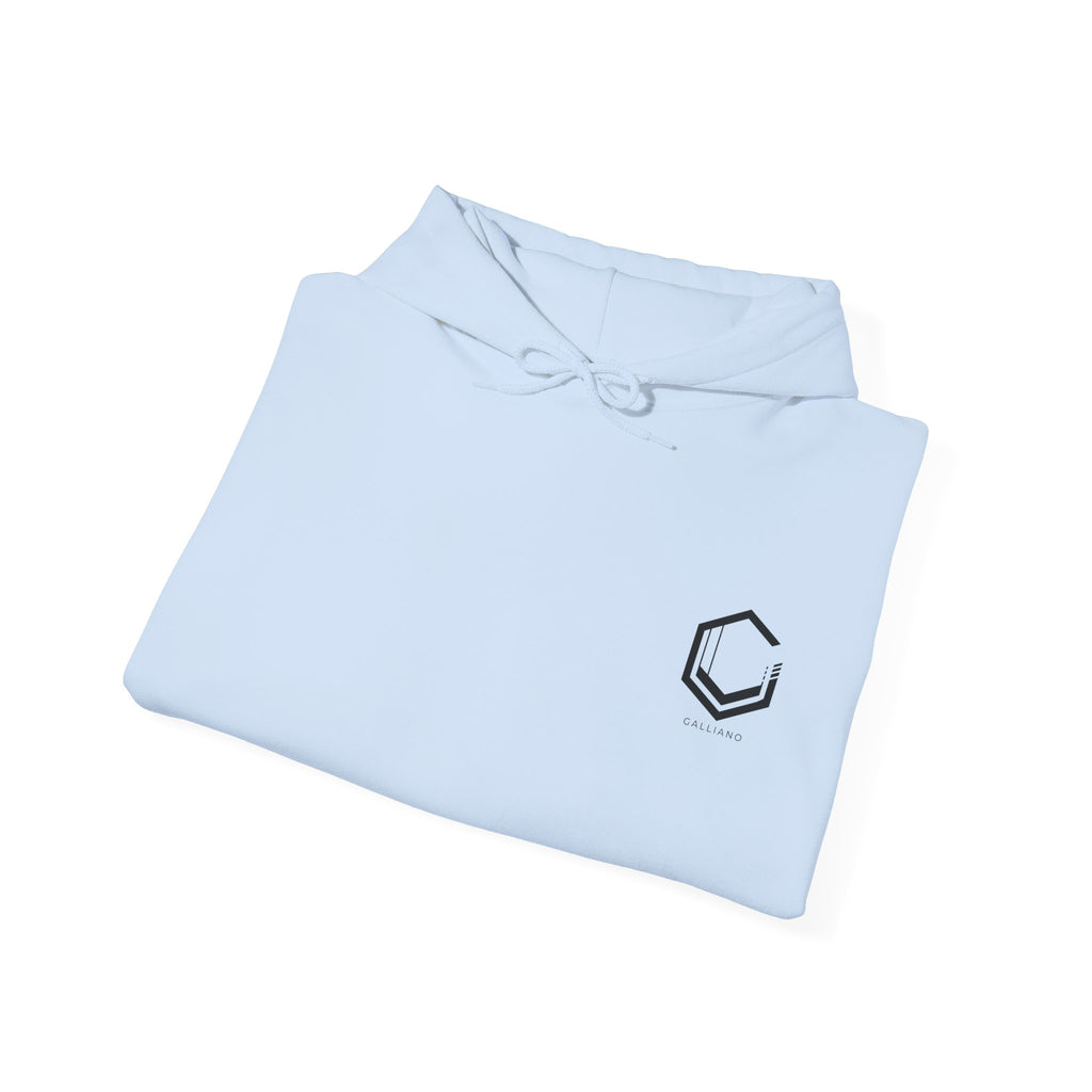 Logo Heavy Blend Hoodie | Unisex Hooded Sweatshirt | Cotton-Poly