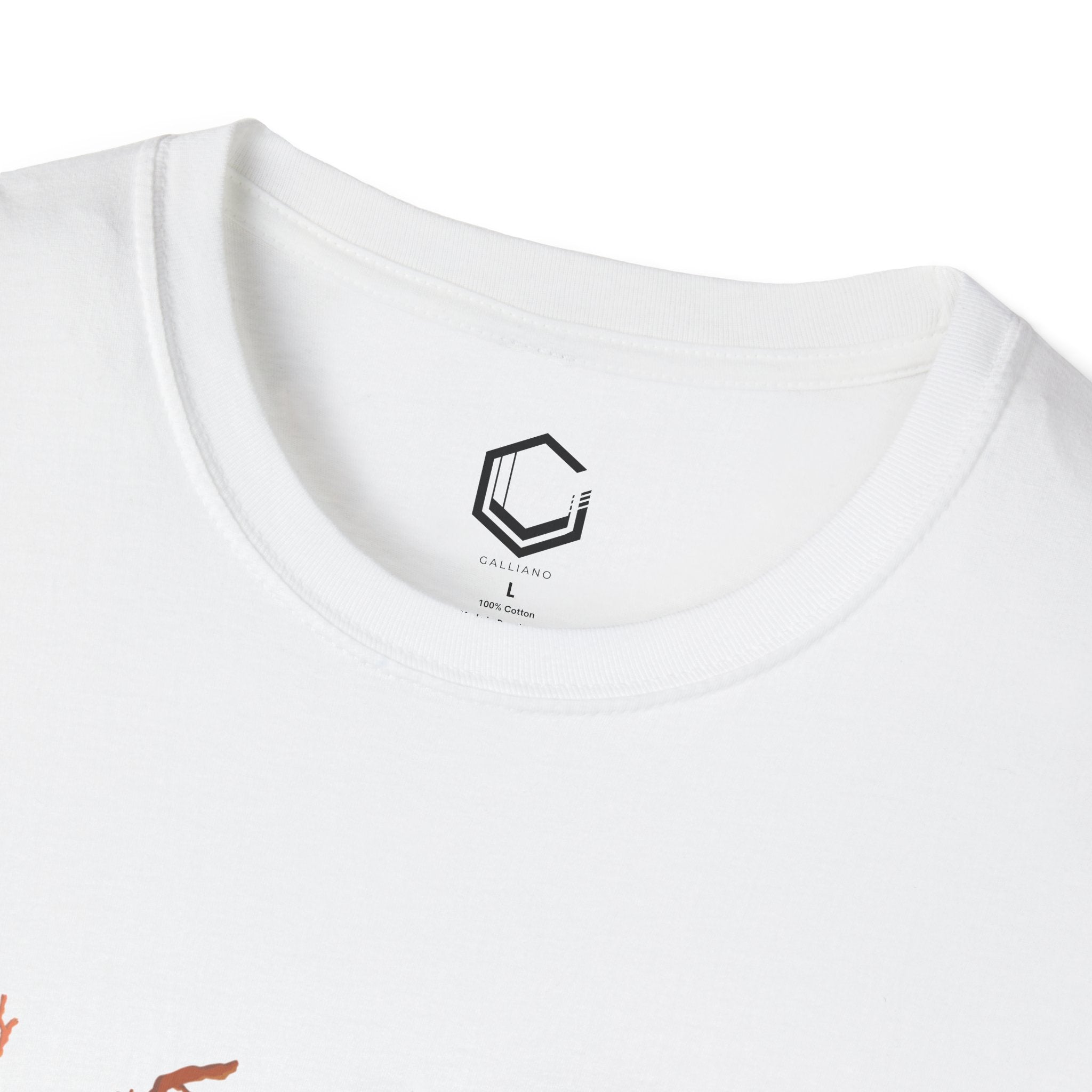 Mystery Portal T-Shirt | Unisex Softstyle Tee | Unique Graphic Design